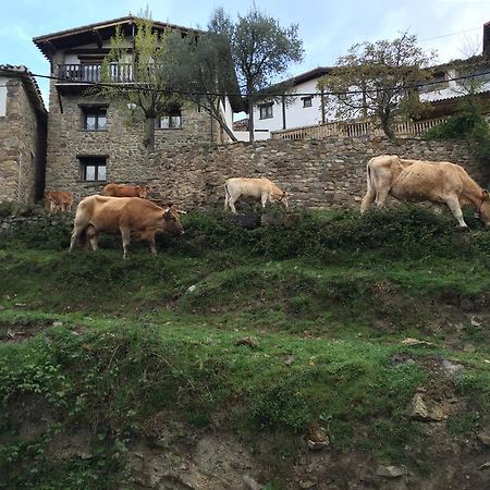 Casa Tia Upe Villa San Román de Cameros Kültér fotó